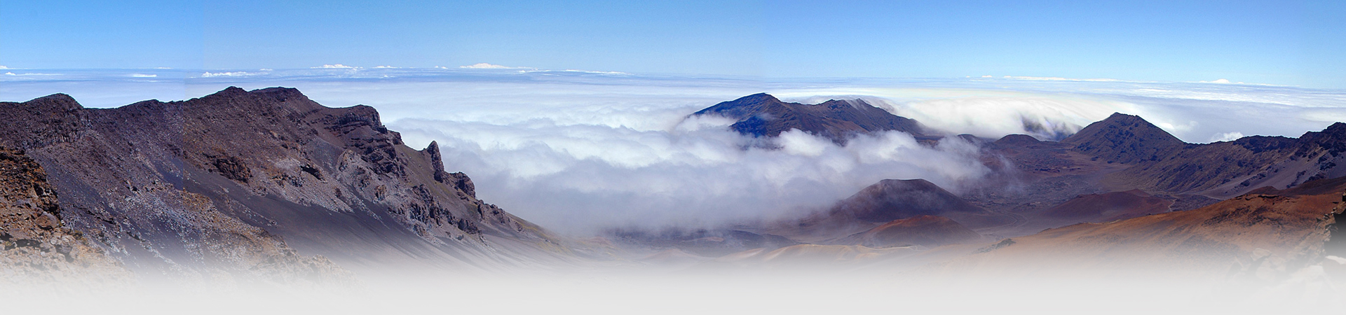 关于拉斯维加斯9888